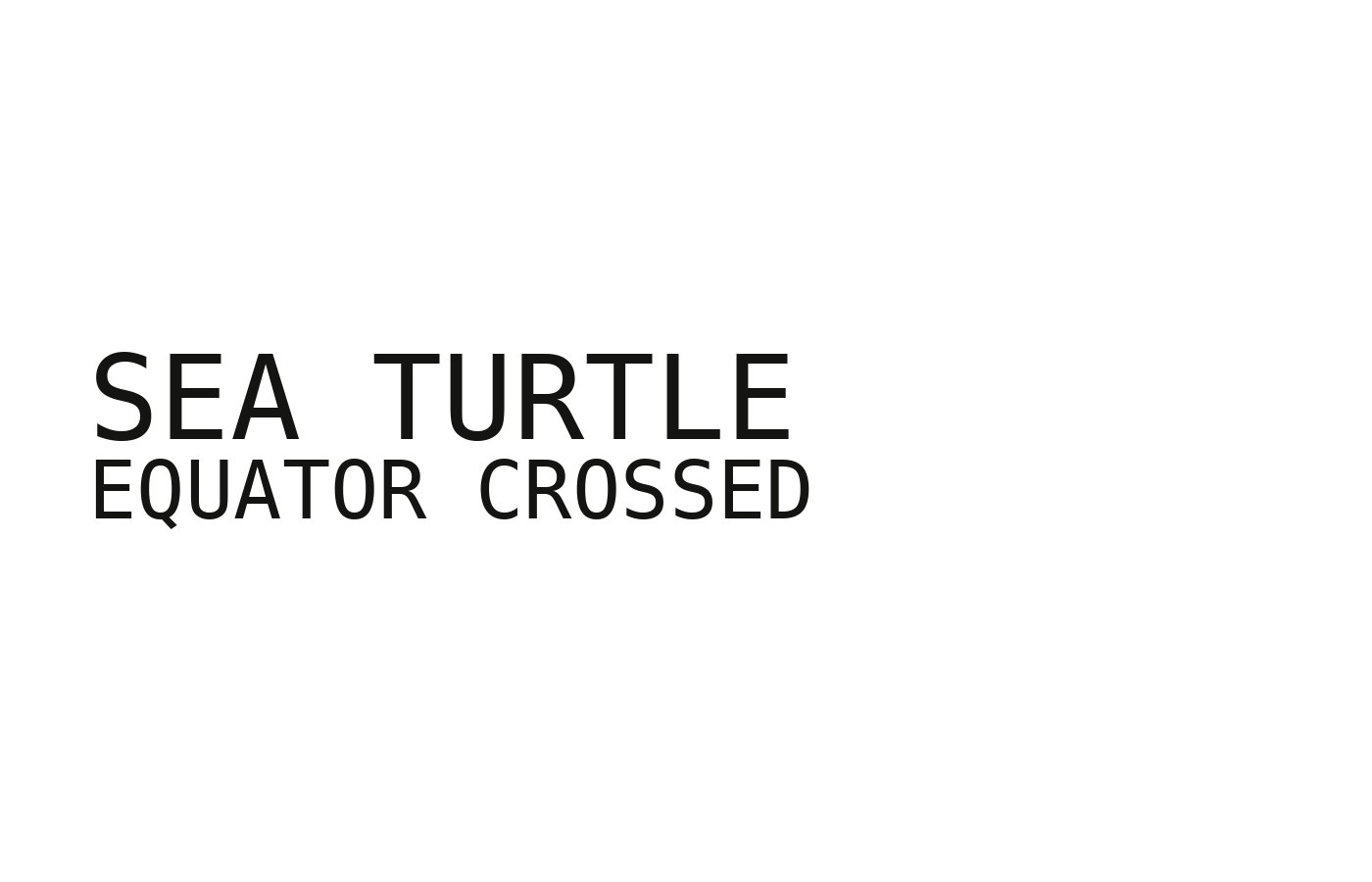 SEA TURTLE design detail