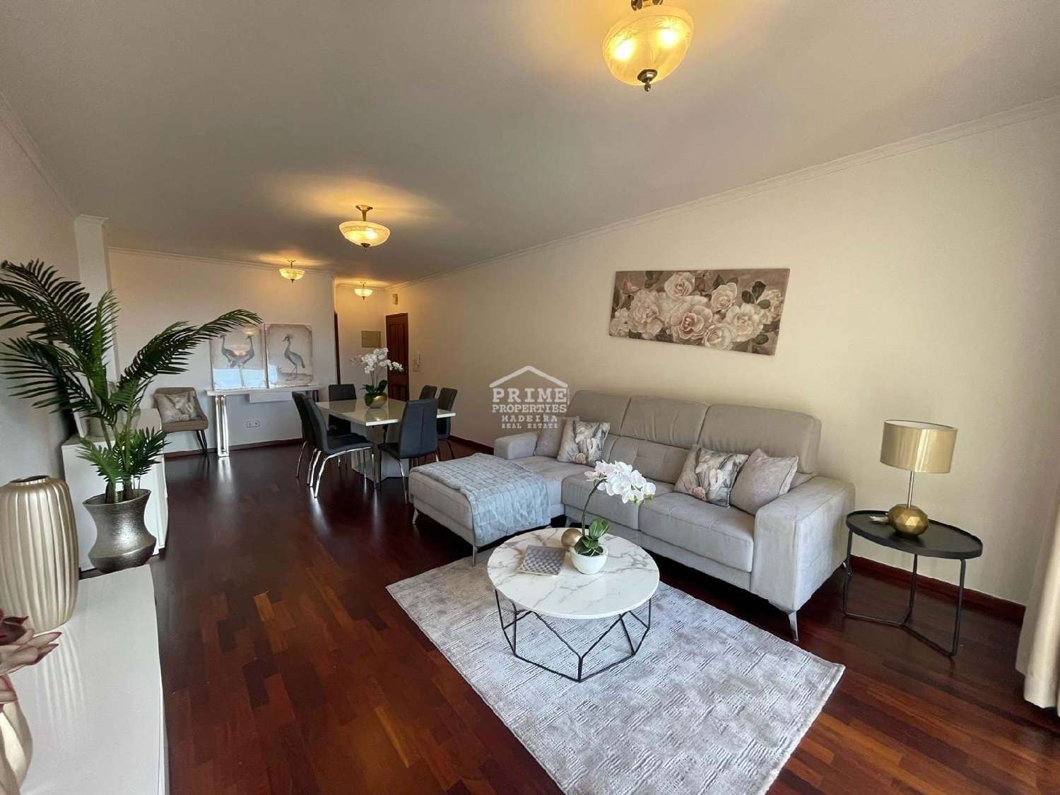  te koop appartement Ribeira Brava Ribeira Brava 2