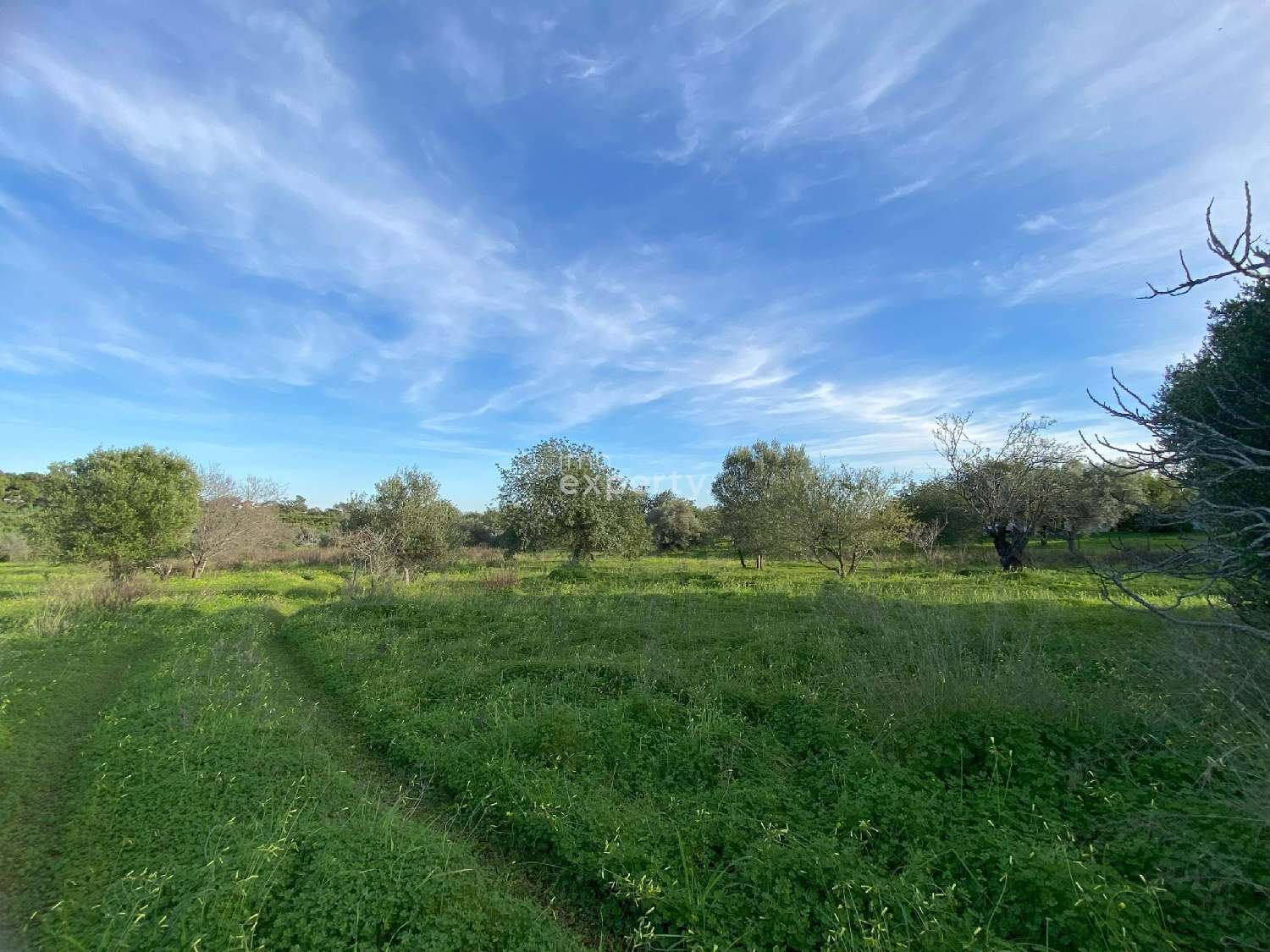  te koop boerderij Tavira Tavira 6