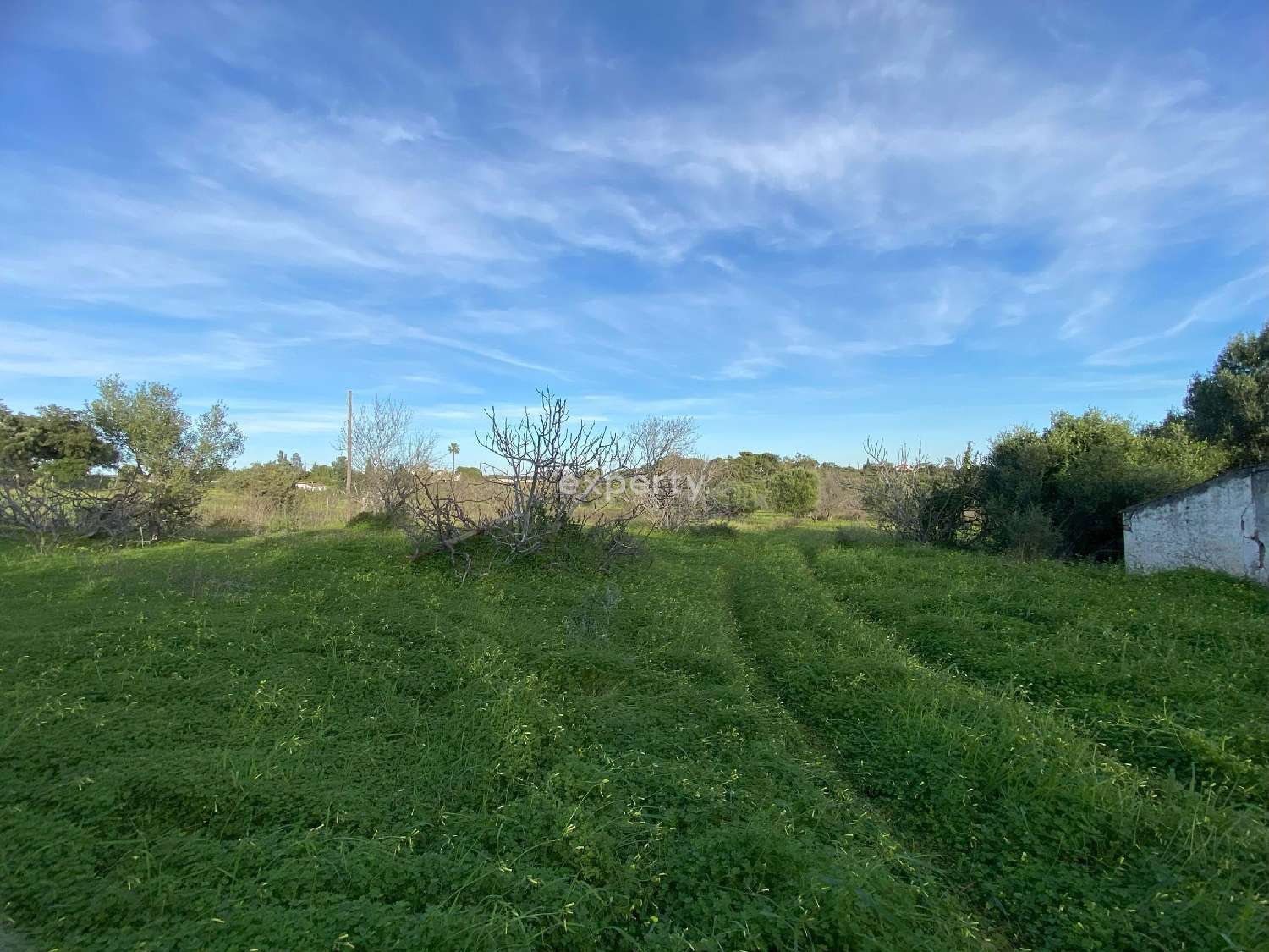  te koop boerderij Tavira Tavira 7