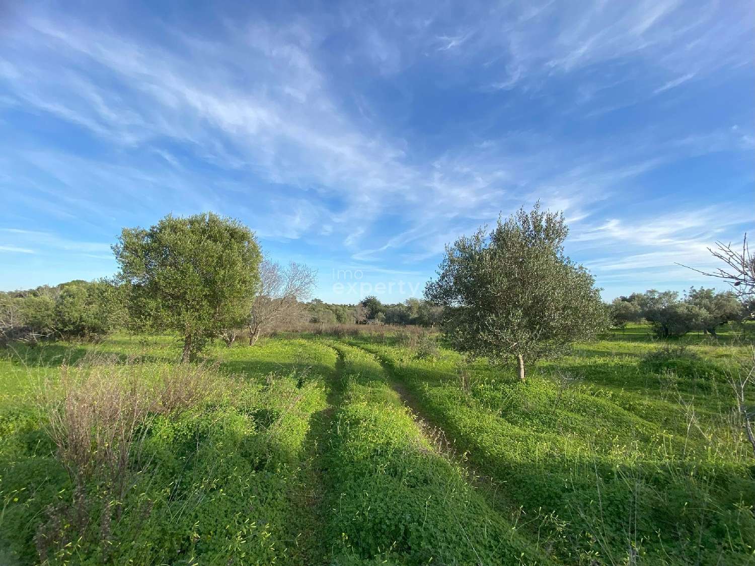  te koop boerderij Tavira Tavira 8