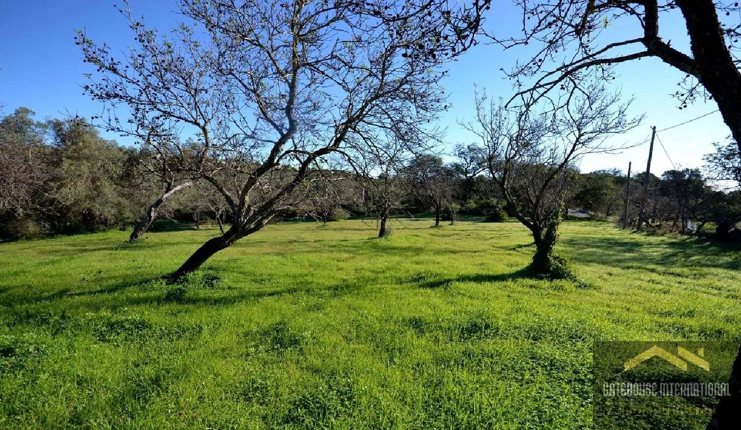 te koop huis Almancil Loulé 2