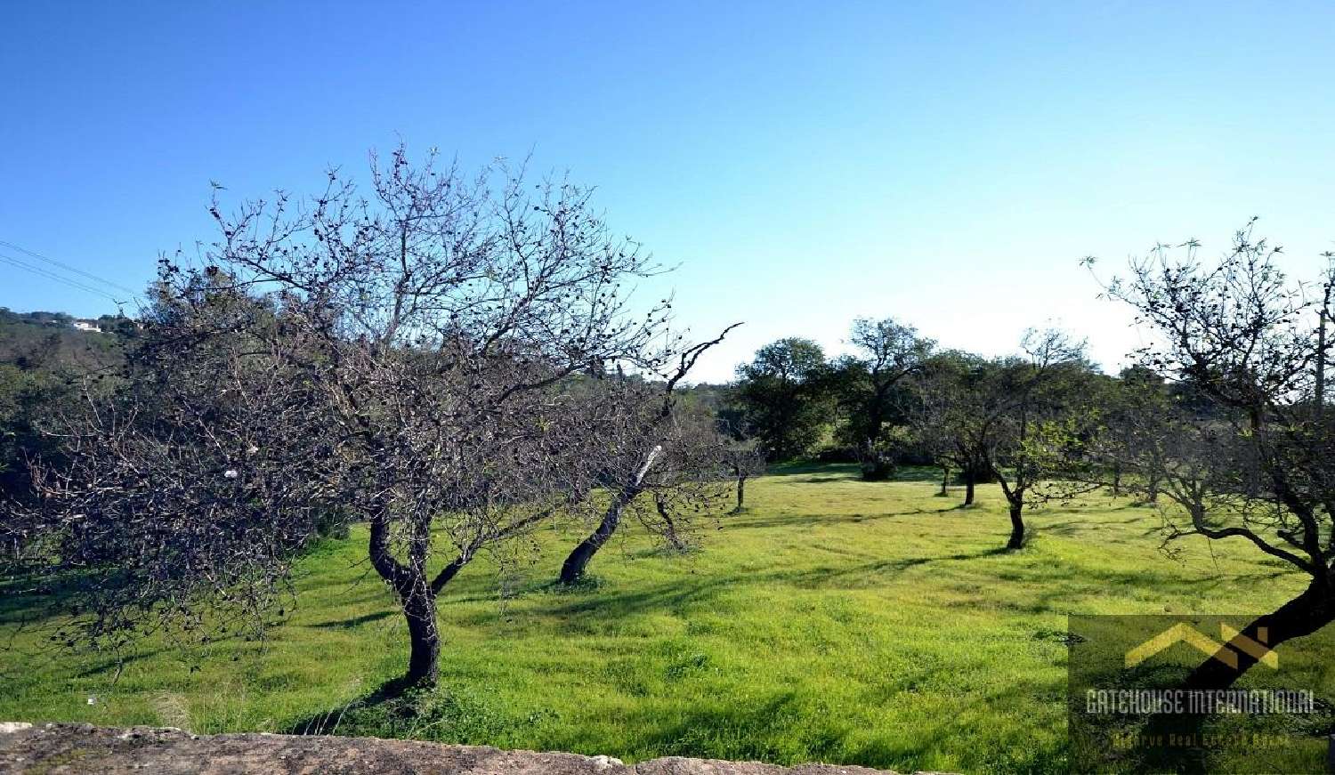  te koop huis Almancil Loulé 5
