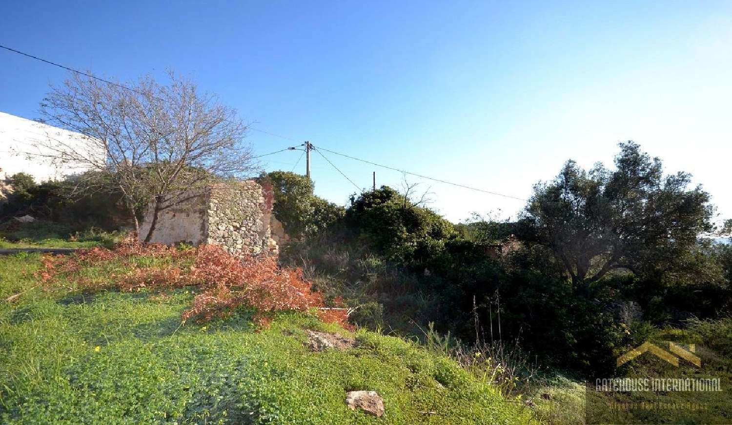  te koop huis Almancil Loulé 7