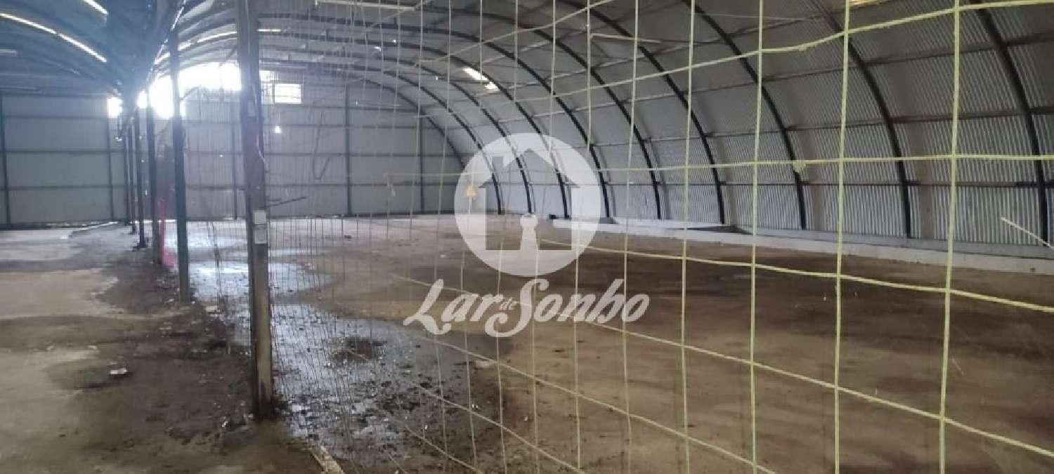  te koop huis Feteira Horta 1