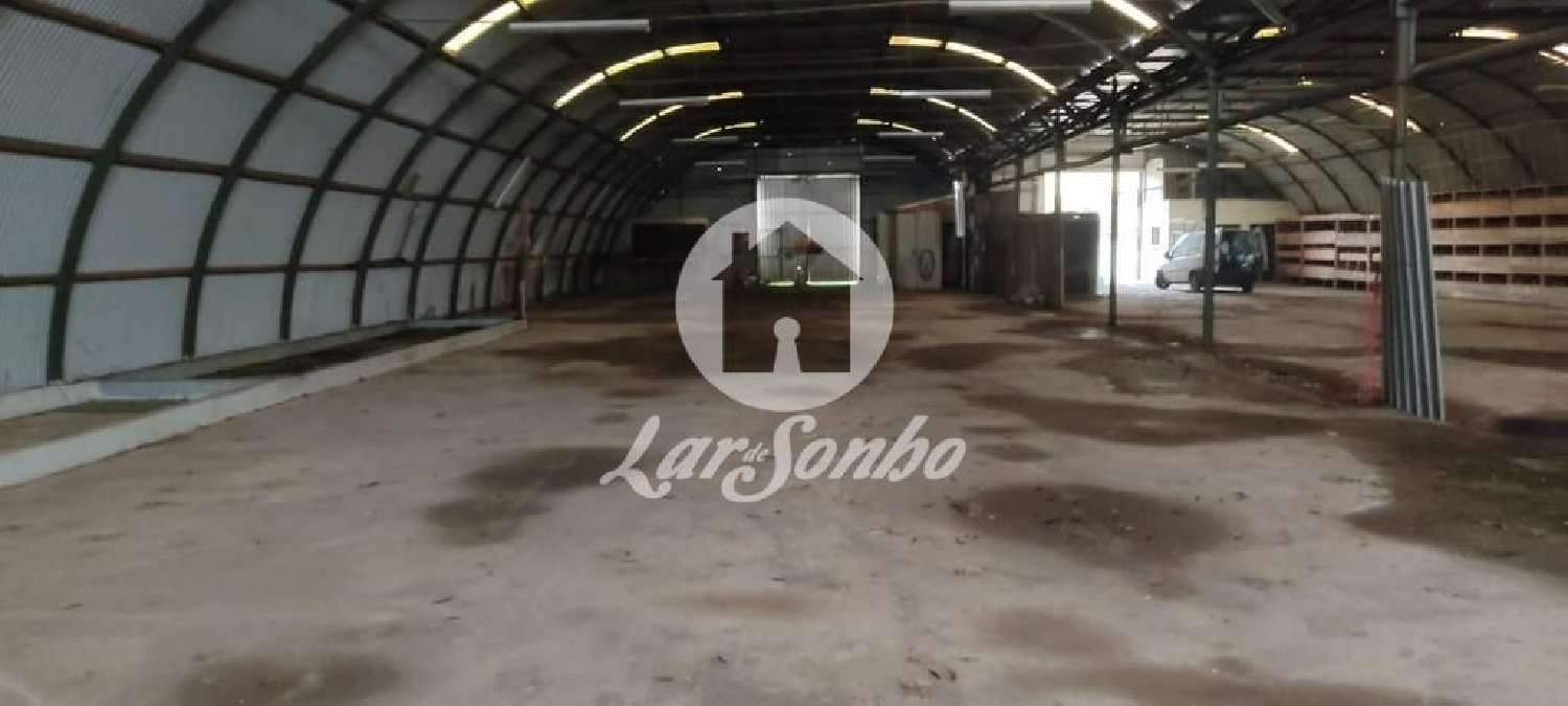  te koop huis Feteira Horta 2