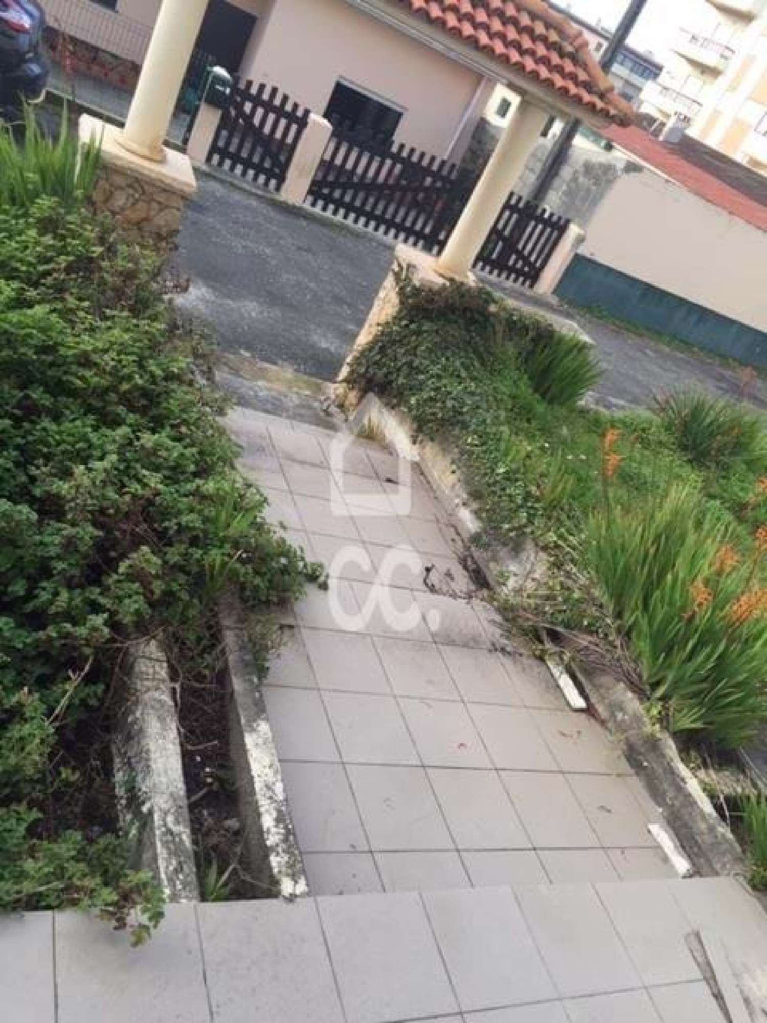  kaufen Haus Leiria Leiria 8