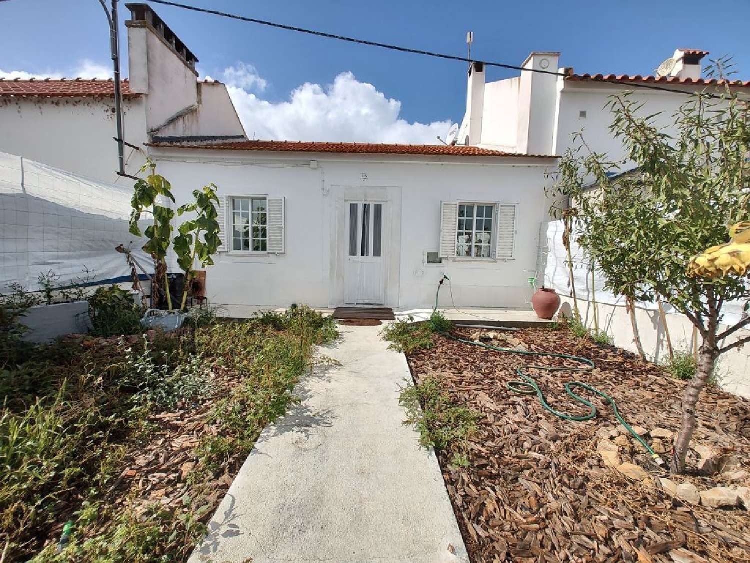  te koop huis Santa Susana Alcácer Do Sal 1