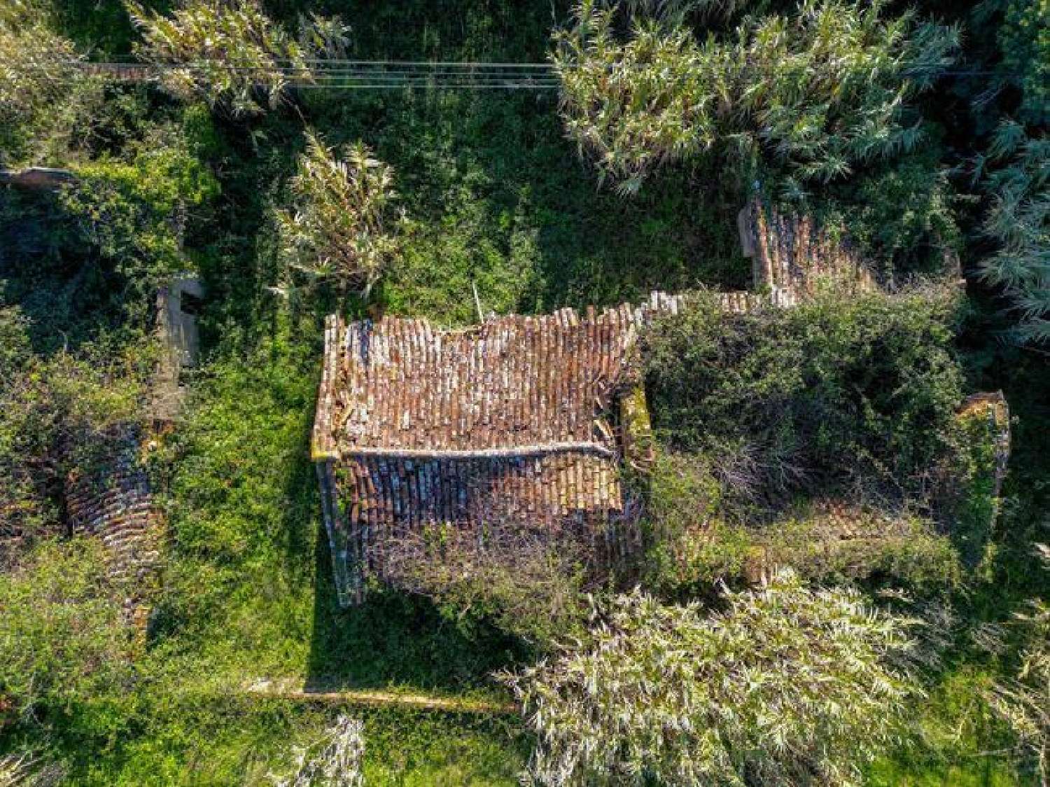  te koop huis Vidais Caldas Da Rainha 1