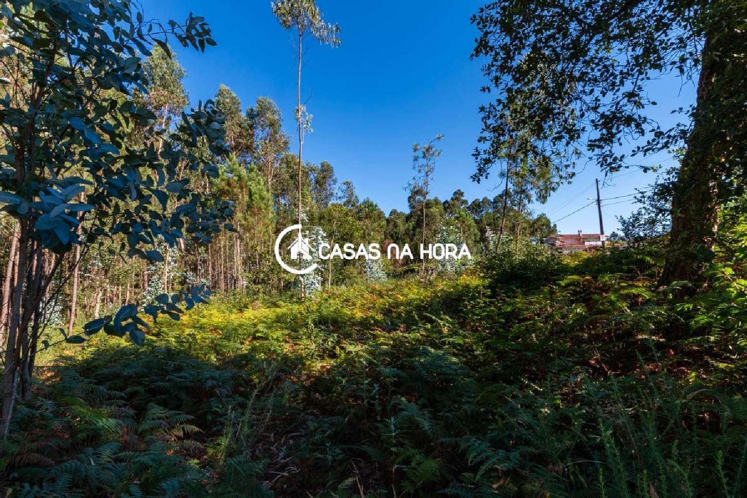  à venda terreno Argoncilhe Santa Maria Da Feira 1