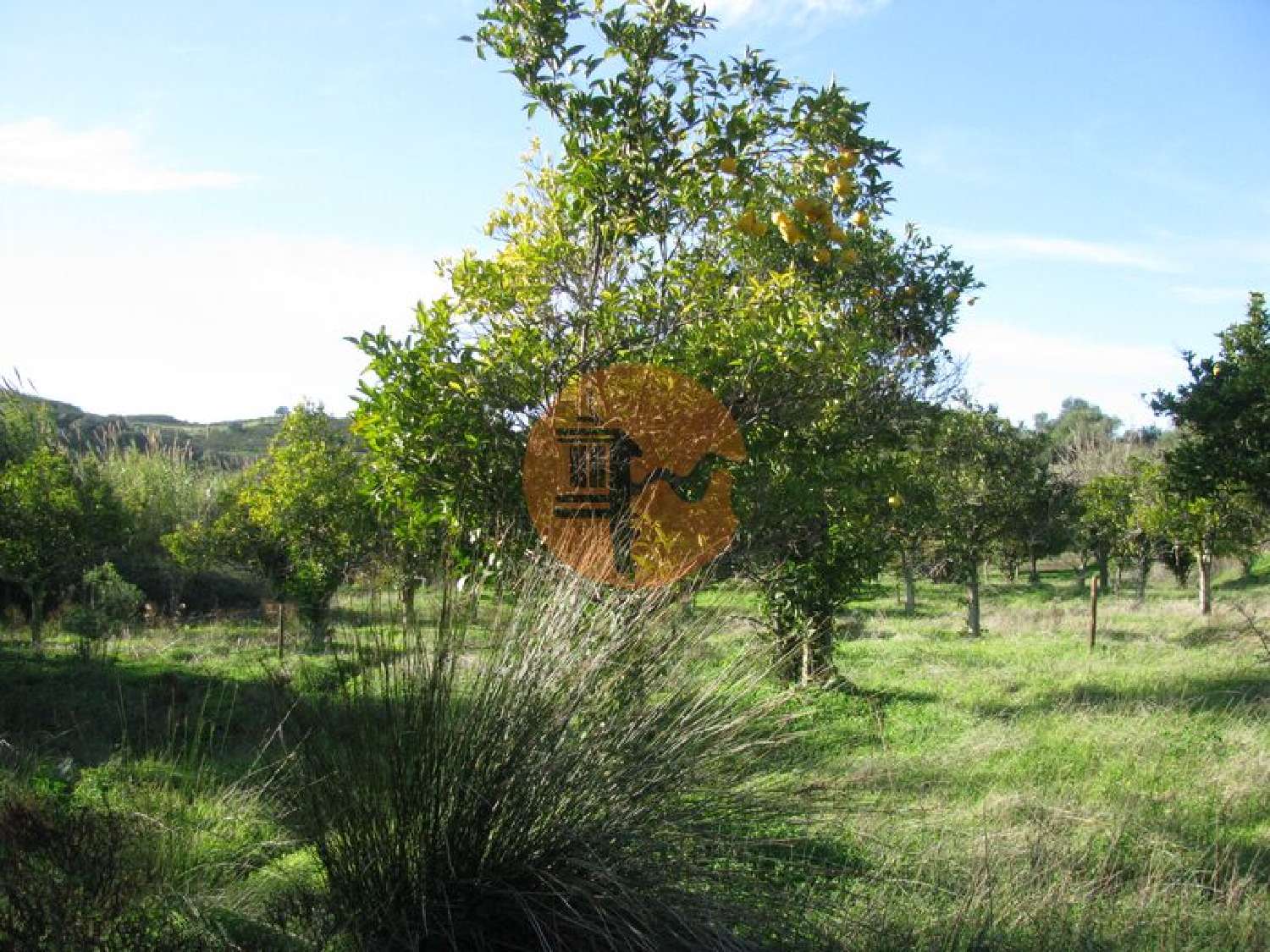 à venda terreno Azinhal Albufeira 3