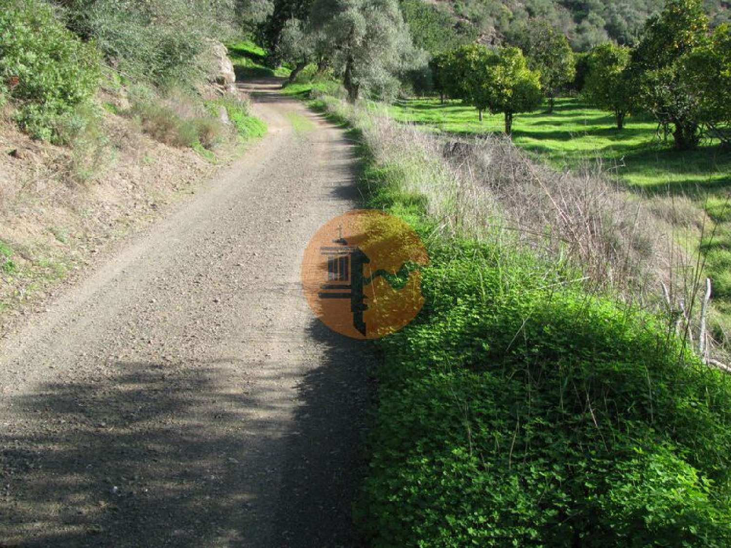  à venda terreno Azinhal Albufeira 5