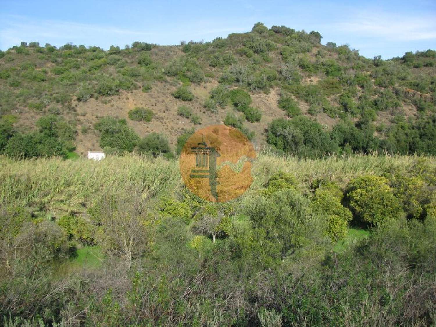  à venda terreno Azinhal Albufeira 7