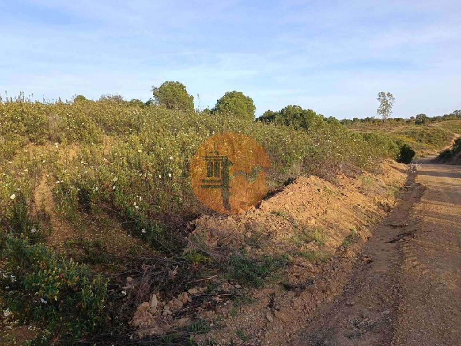  for sale terrain Azinhal Albufeira 7