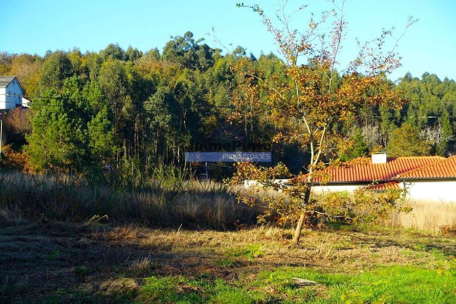 te koop terrein Freixieiro de Soutelo Viana Do Castelo 3