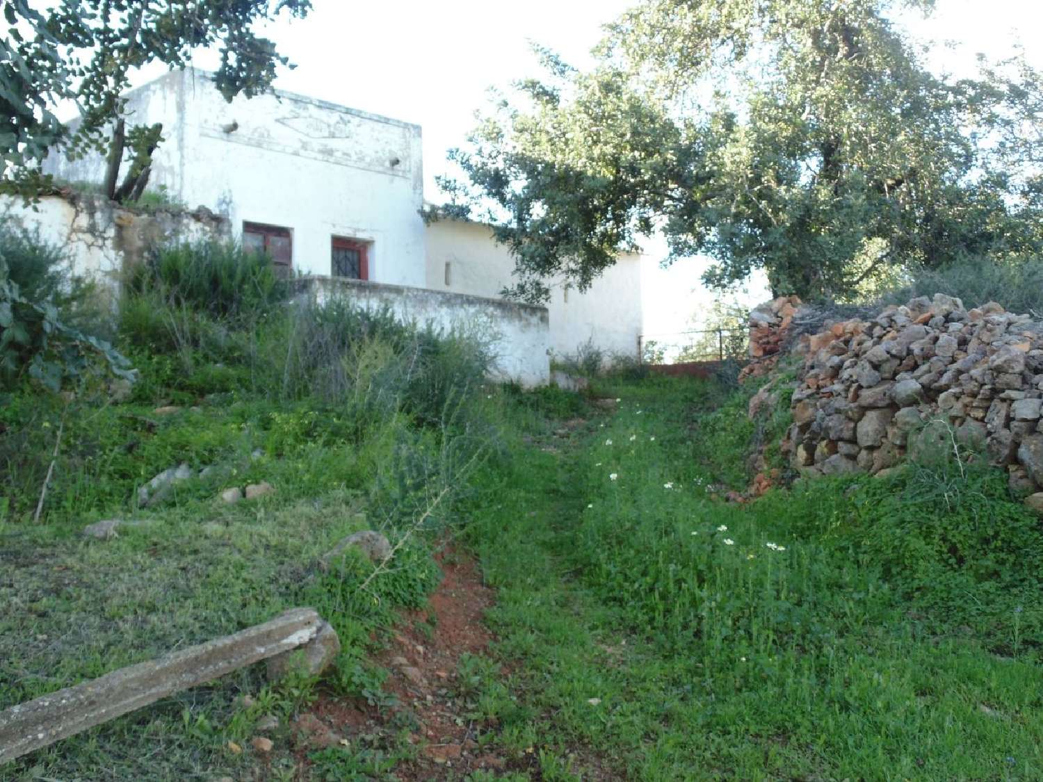 à venda terreno Quelfes Olhão 5