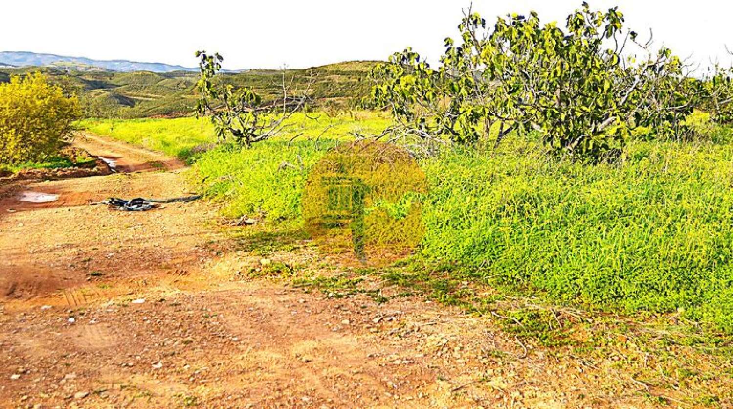  à vendre terrain Tavira Tavira 5