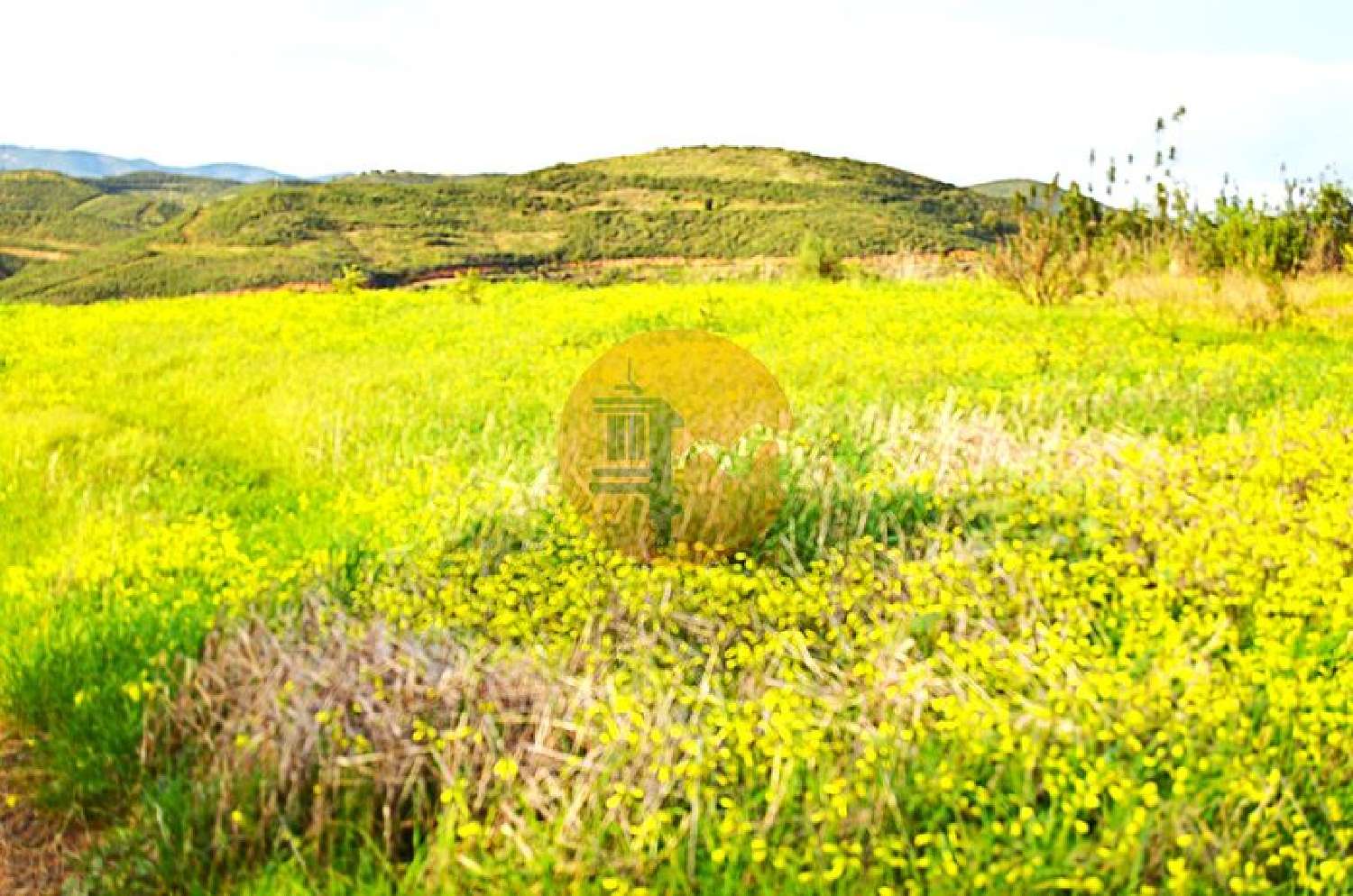  à vendre terrain Tavira Tavira 6
