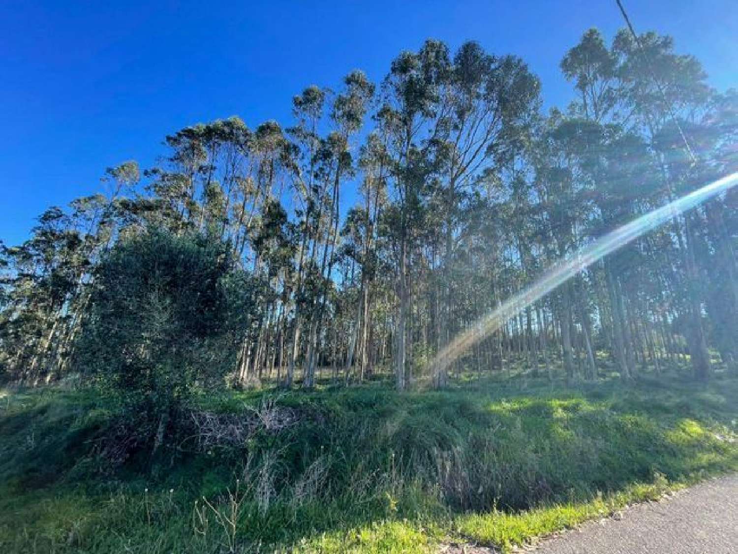  te koop terrein Vidais Caldas Da Rainha 2