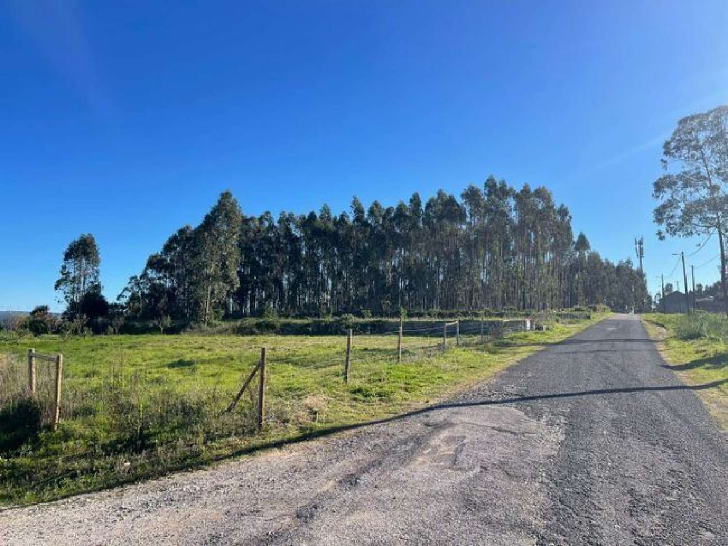  à vendre terrain Vidais Caldas Da Rainha 1