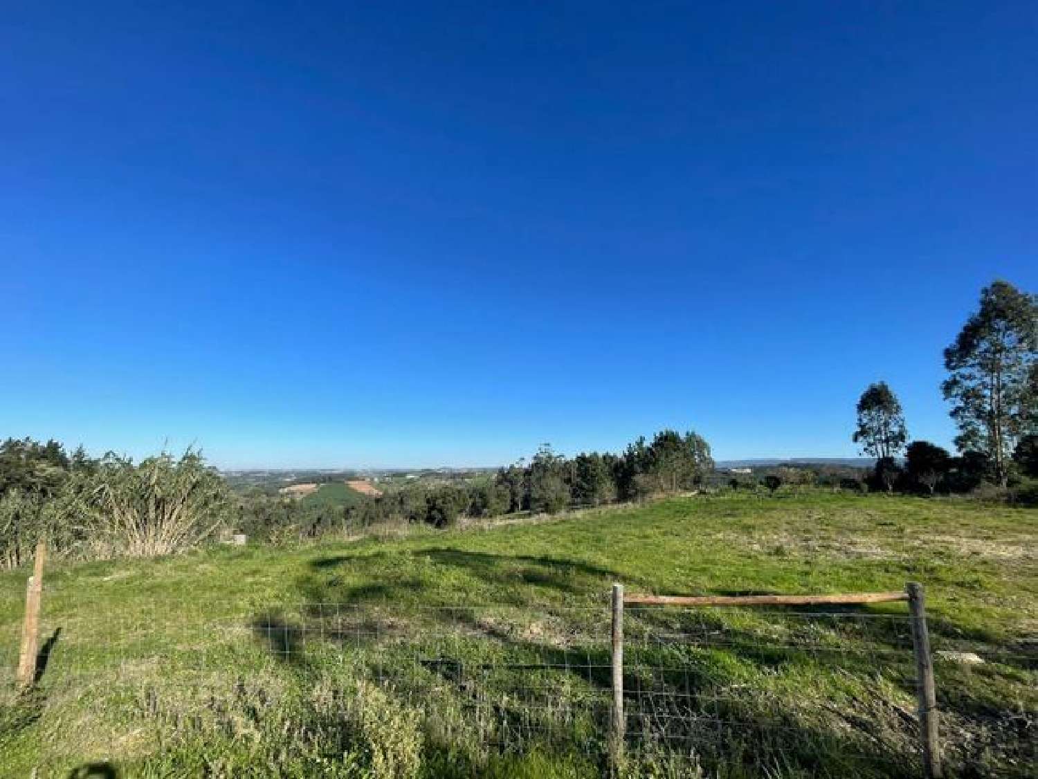 à vendre terrain Vidais Caldas Da Rainha 2
