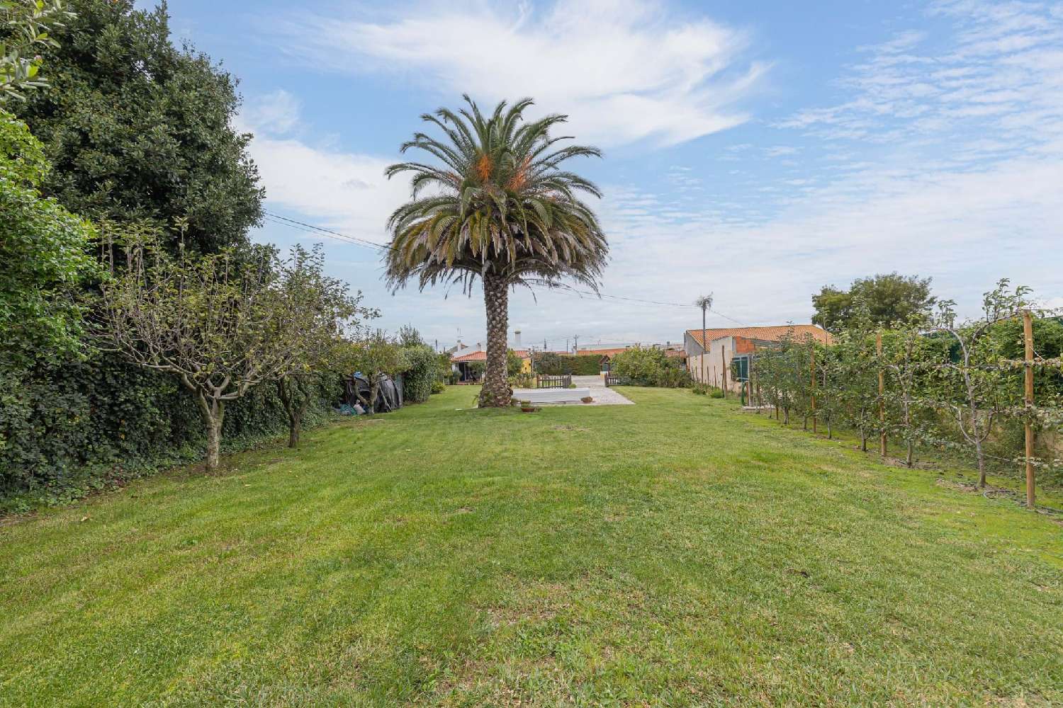  te koop villa Cartaxo Cartaxo 8