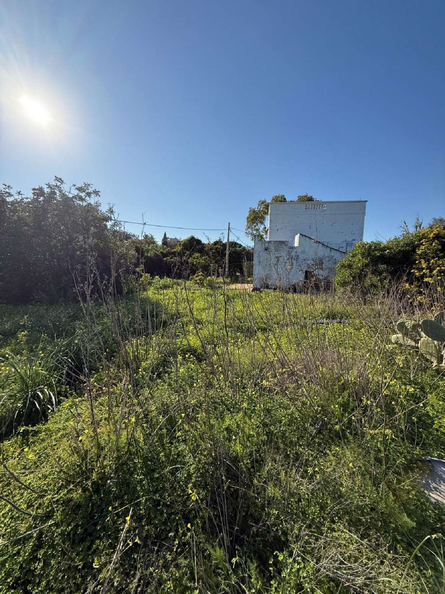  te koop villa Fuseta Tavira 2