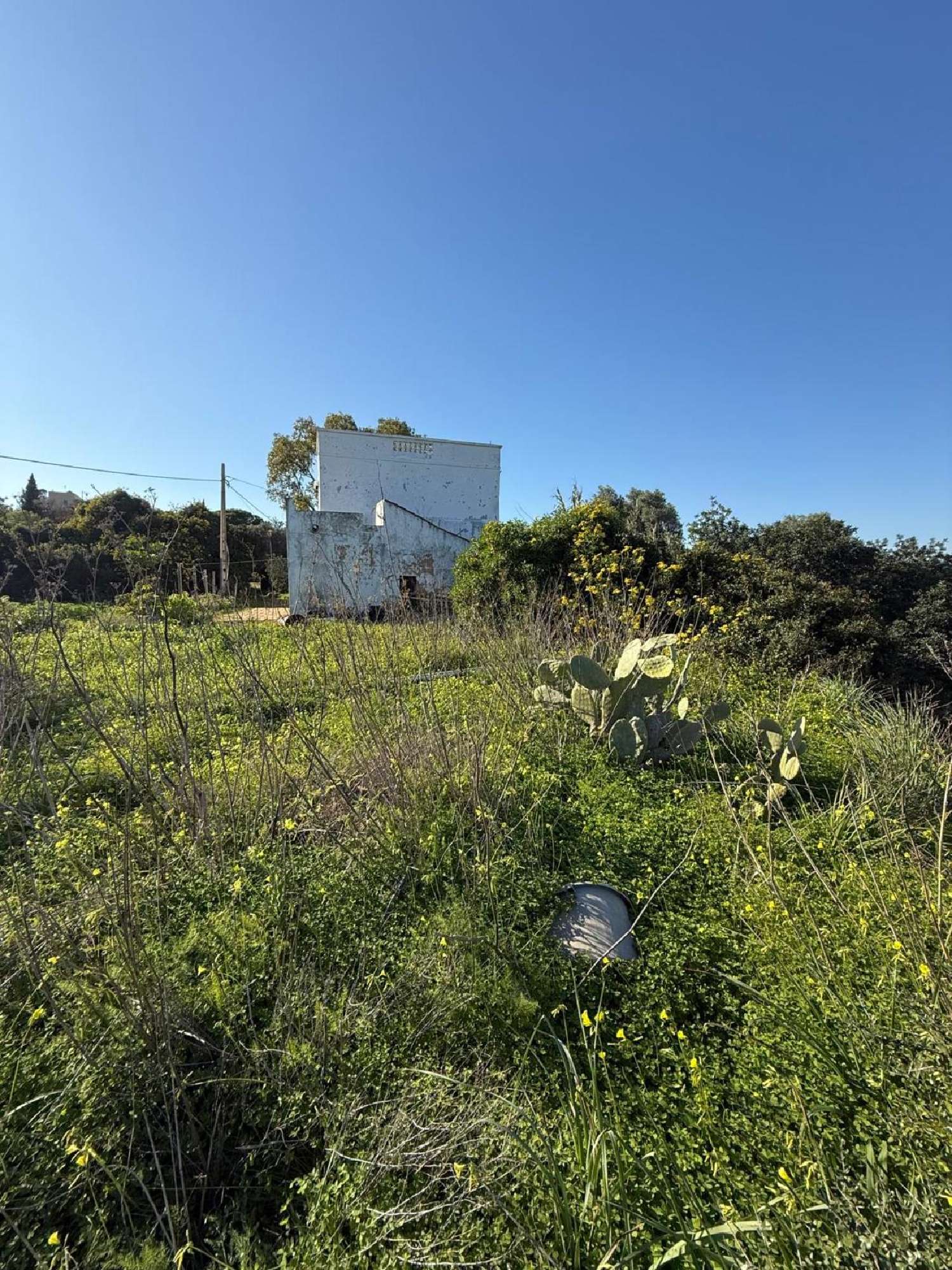  te koop villa Fuseta Tavira 6