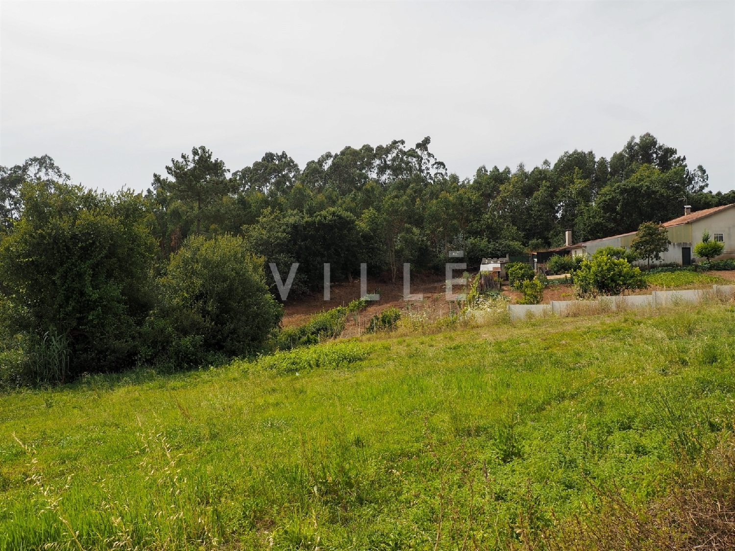  köpa hus Águeda Águeda 5