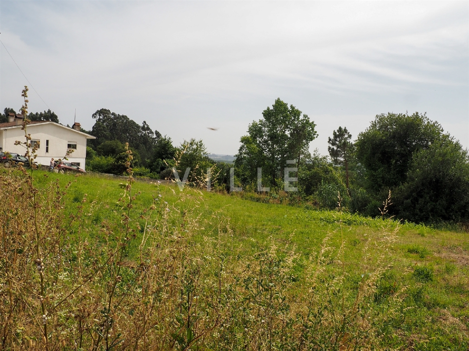  köpa hus Águeda Águeda 7