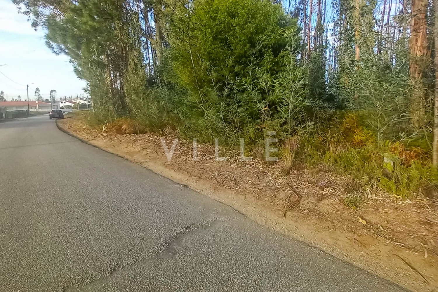 te koop huis Águeda Águeda 3