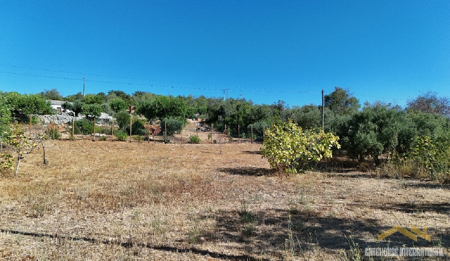  te koop huis Almancil Loulé 4