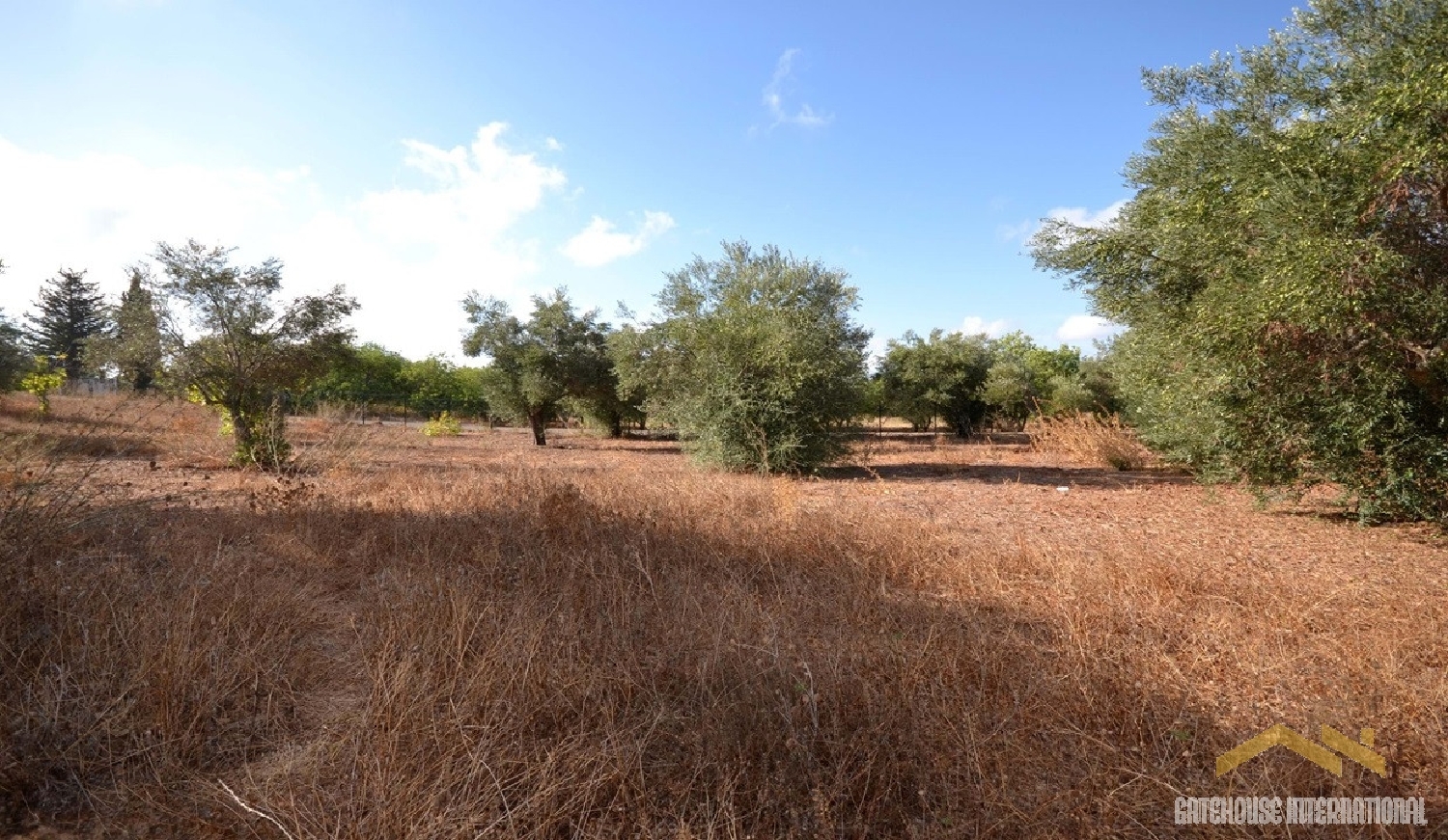 te koop huis Almancil Loulé 6