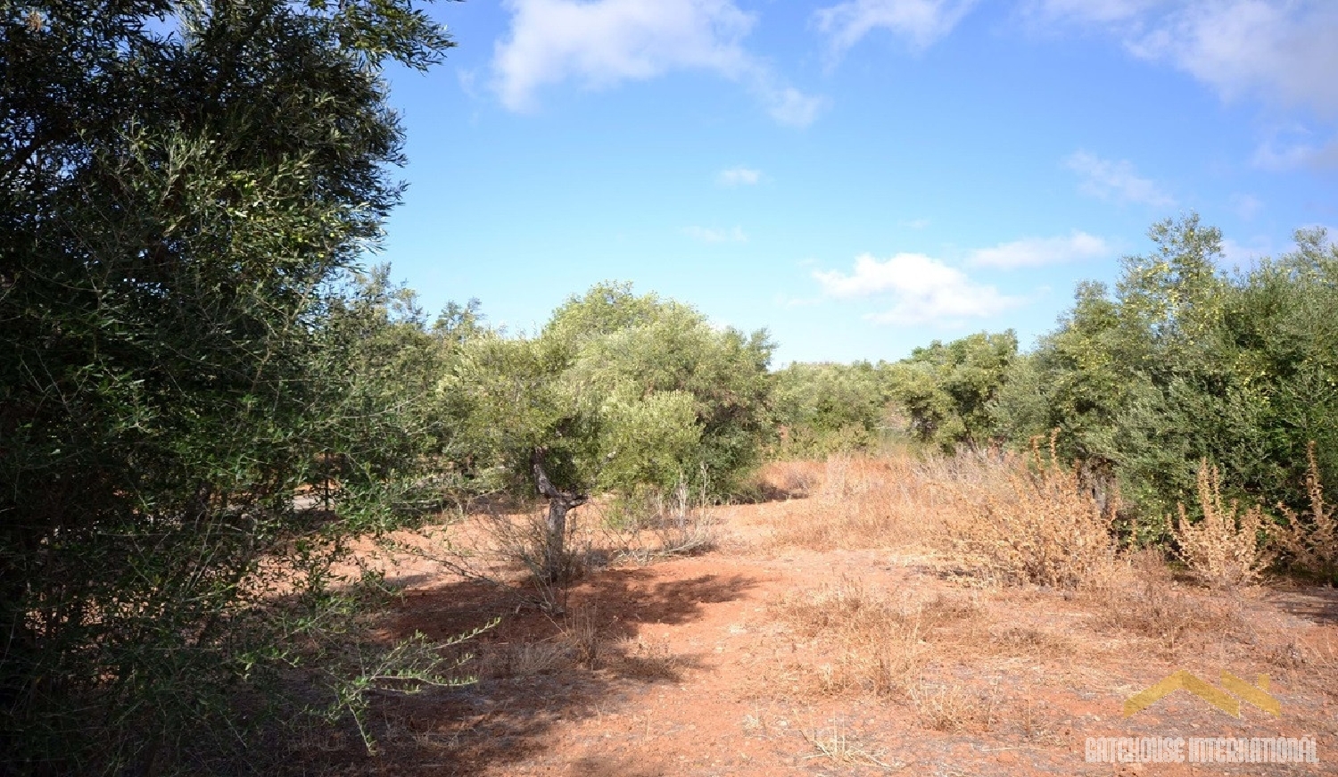 te koop huis Almancil Loulé 7