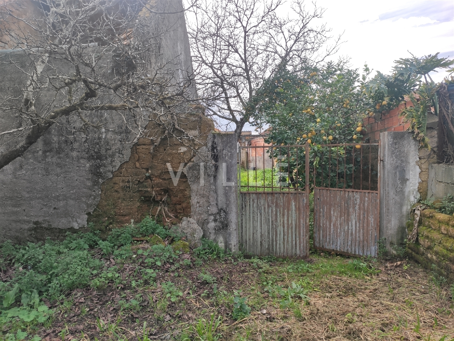 te koop huis Anadia Anadia 2