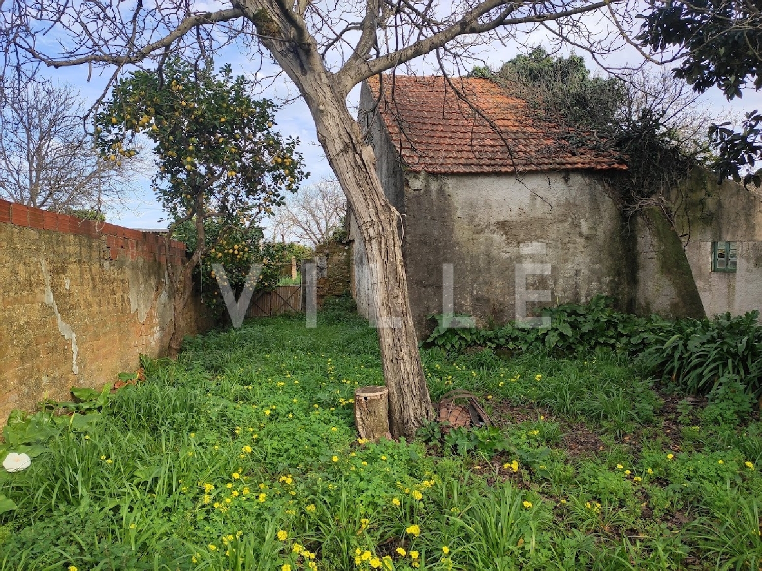 te koop huis Anadia Anadia 3