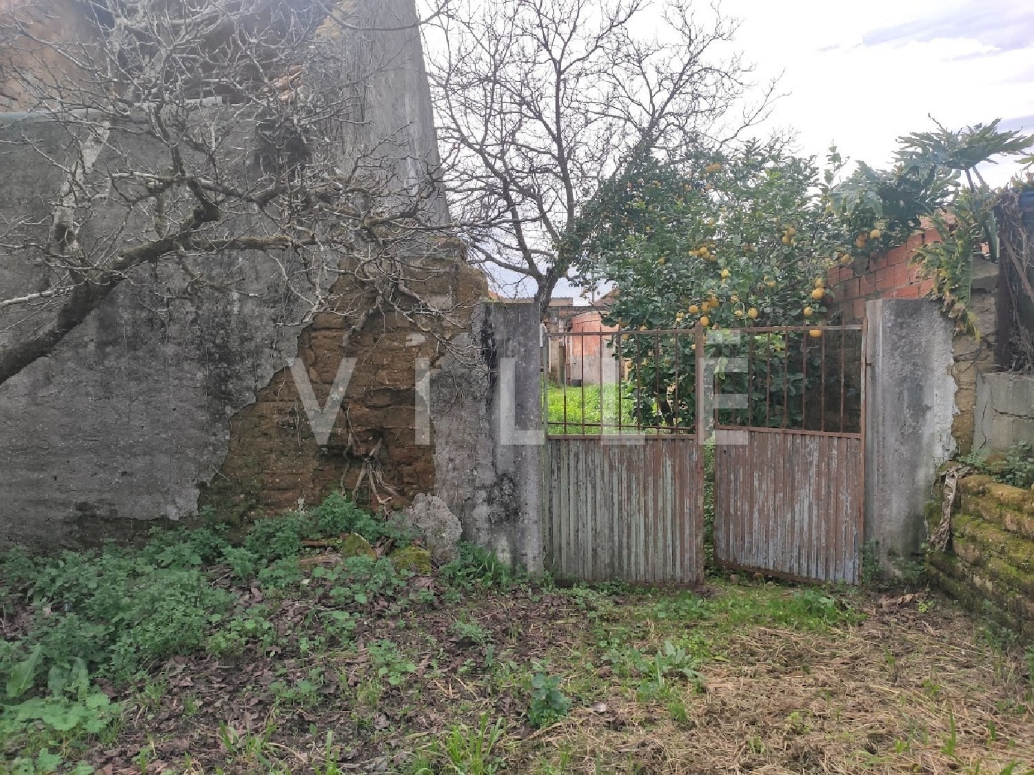  te koop huis Anadia Anadia 7