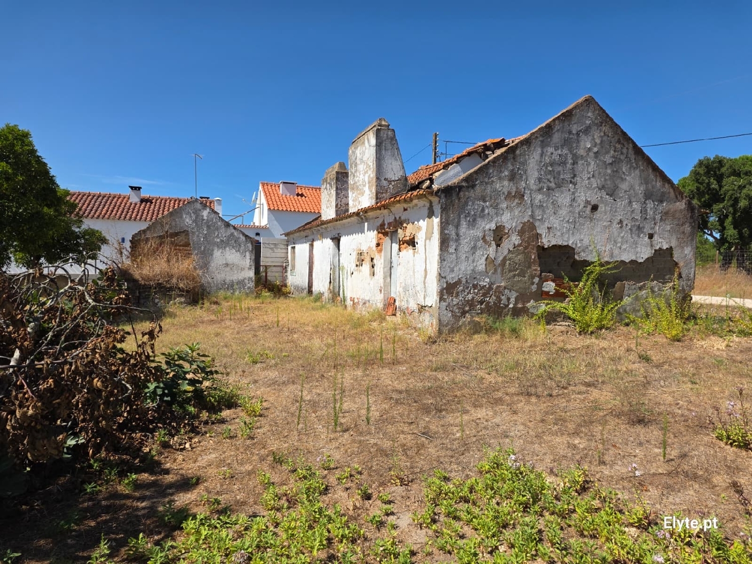  for sale house Branca Coruche 1