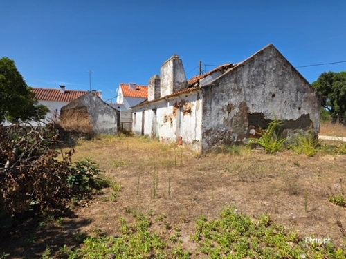 Branca Coruche house foto 339843
