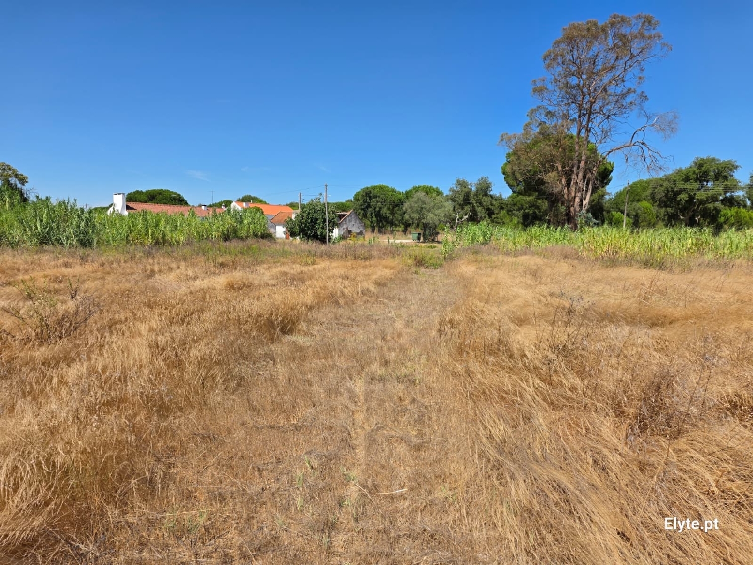  for sale house Branca Coruche 4