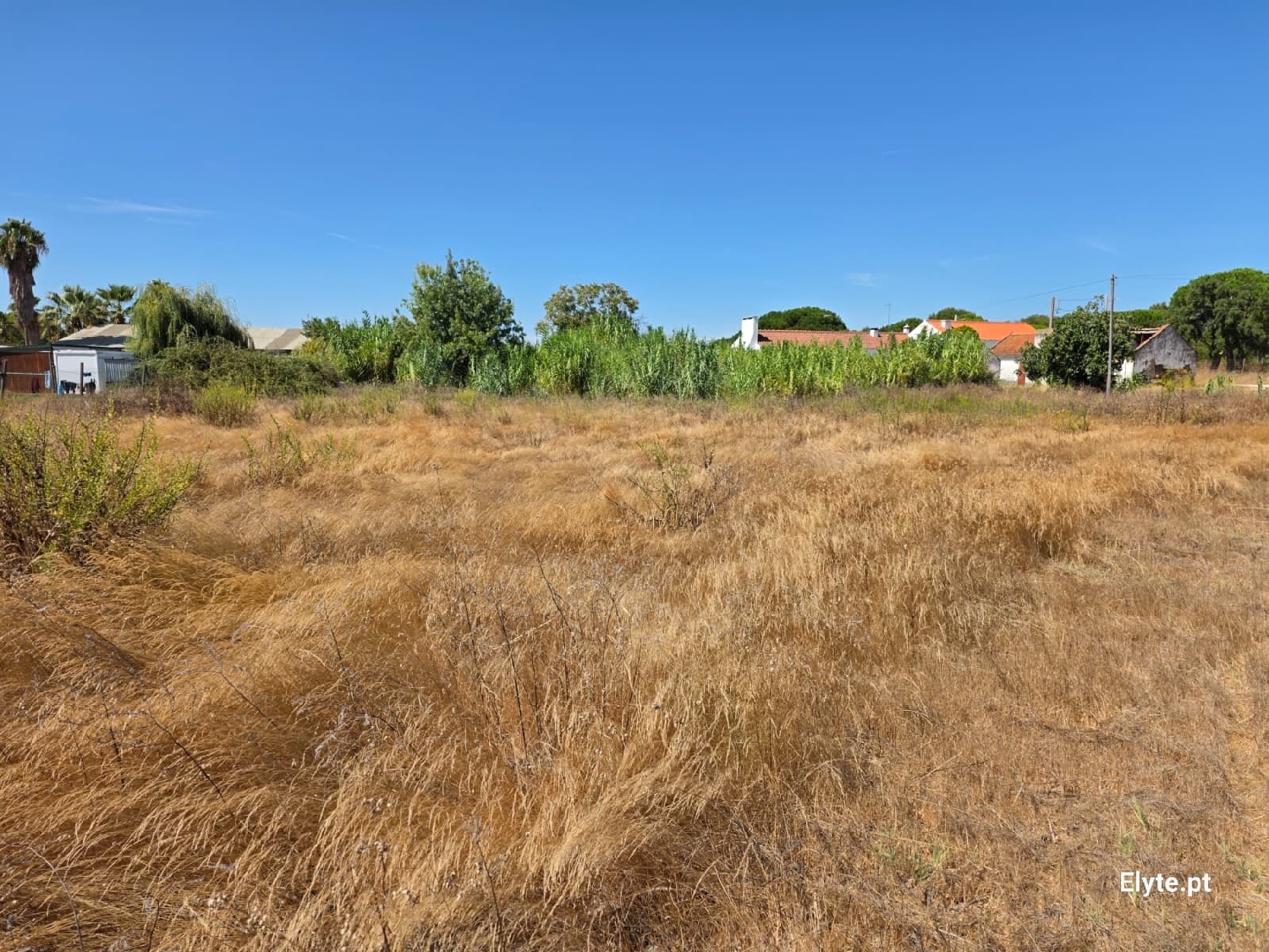  for sale house Branca Coruche 5