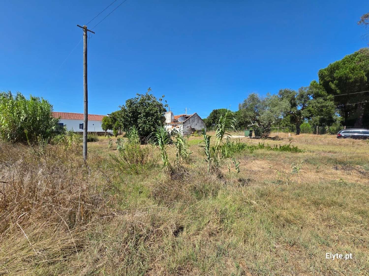  for sale house Branca Coruche 6