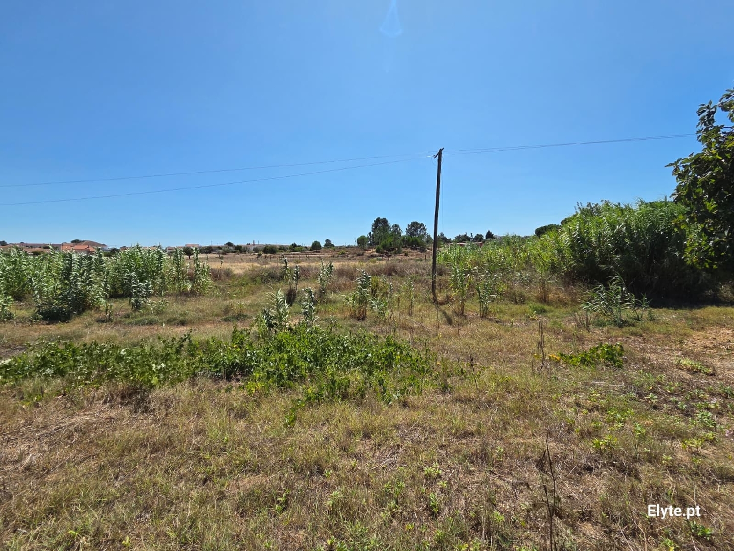  for sale house Branca Coruche 7