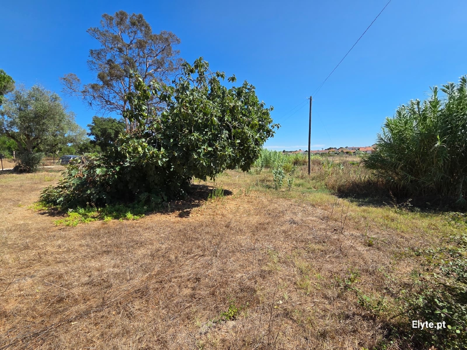  for sale house Branca Coruche 8