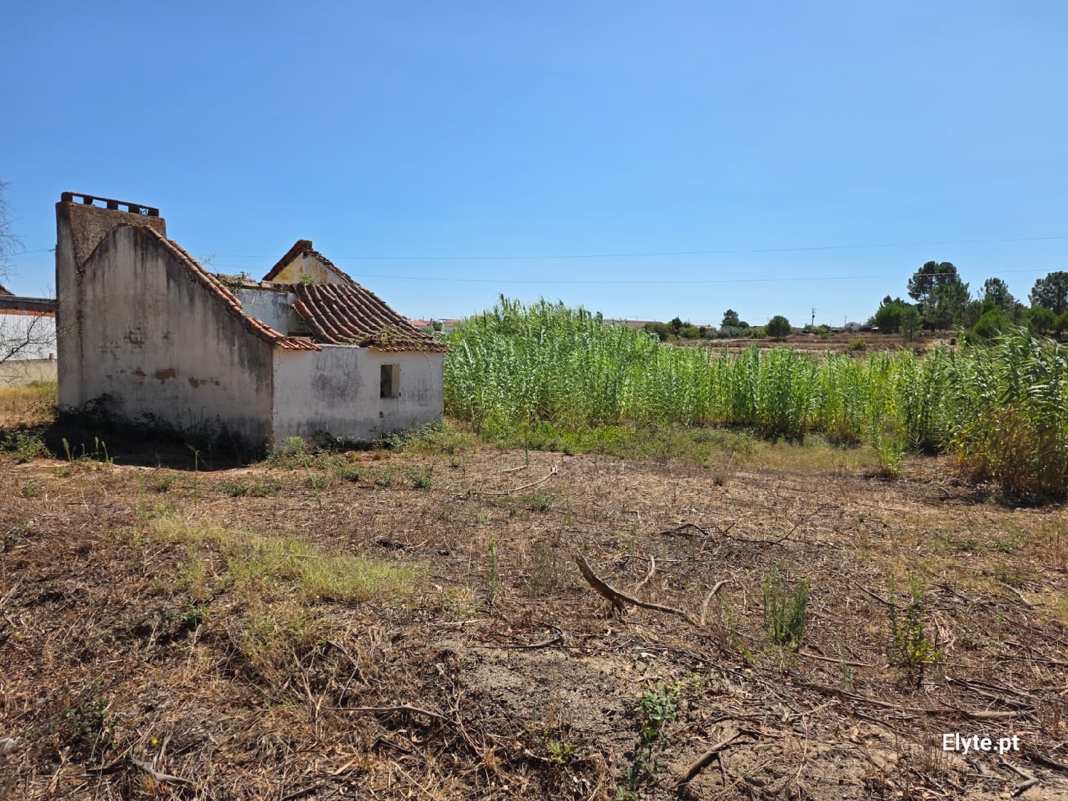  for sale house Branca Coruche 2