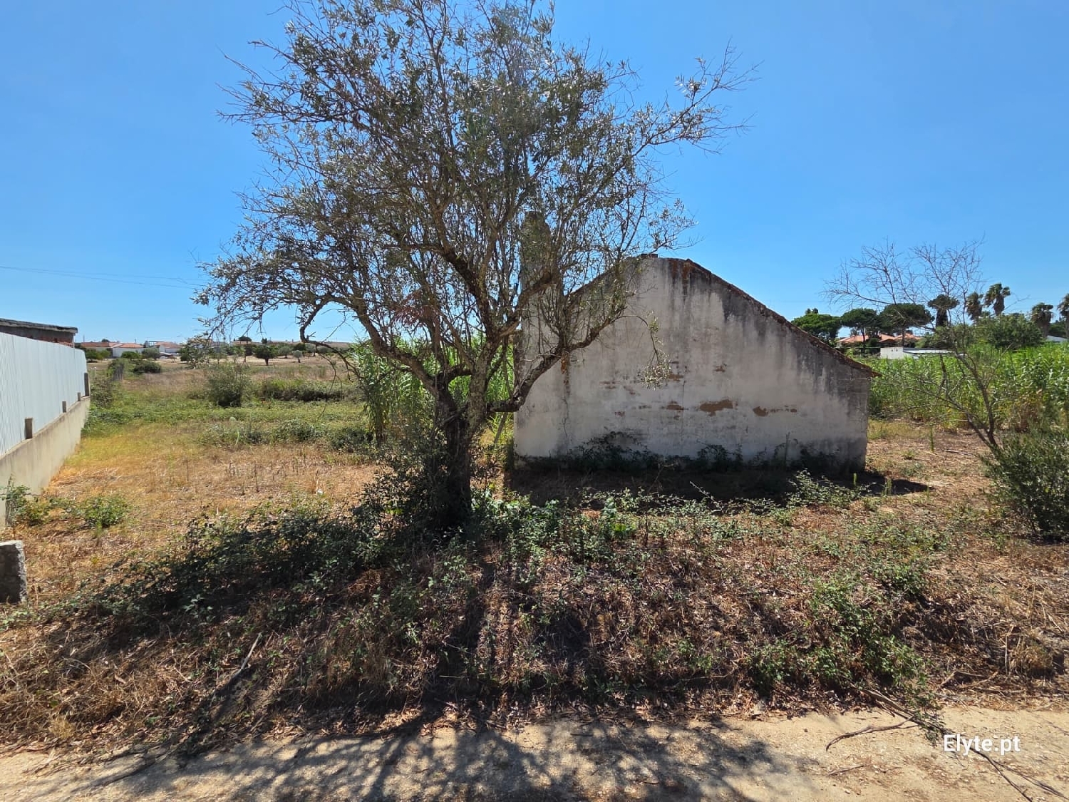  for sale house Branca Coruche 3