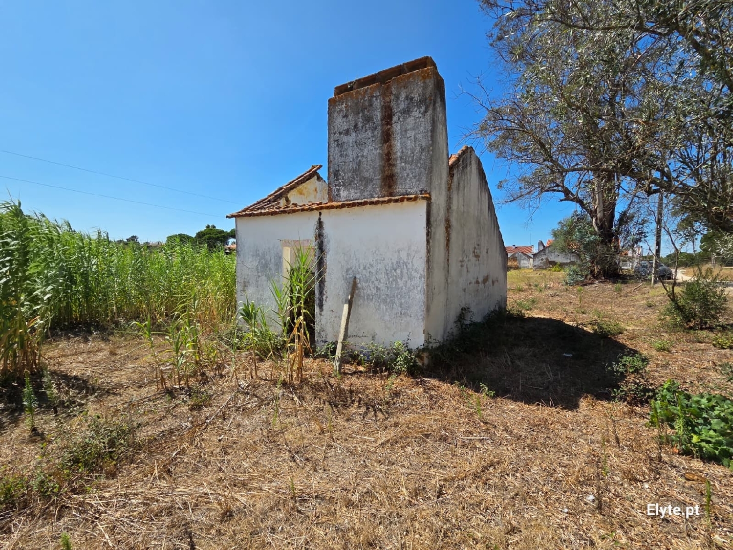  for sale house Branca Coruche 4