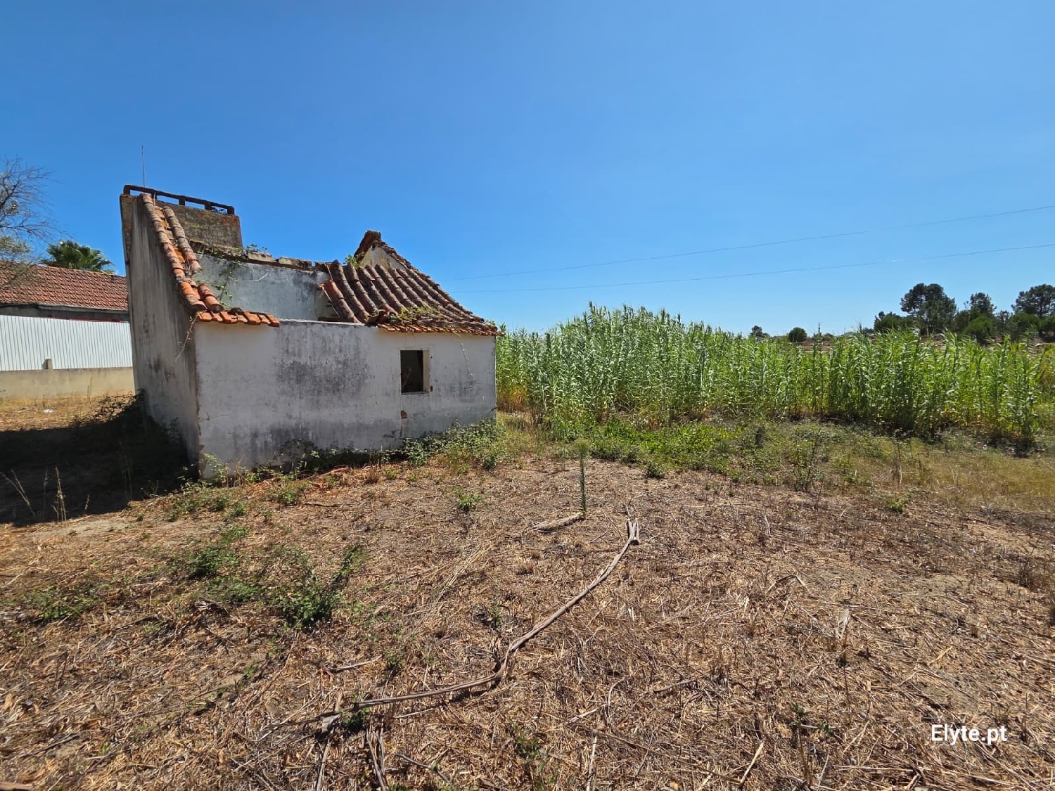  for sale house Branca Coruche 5