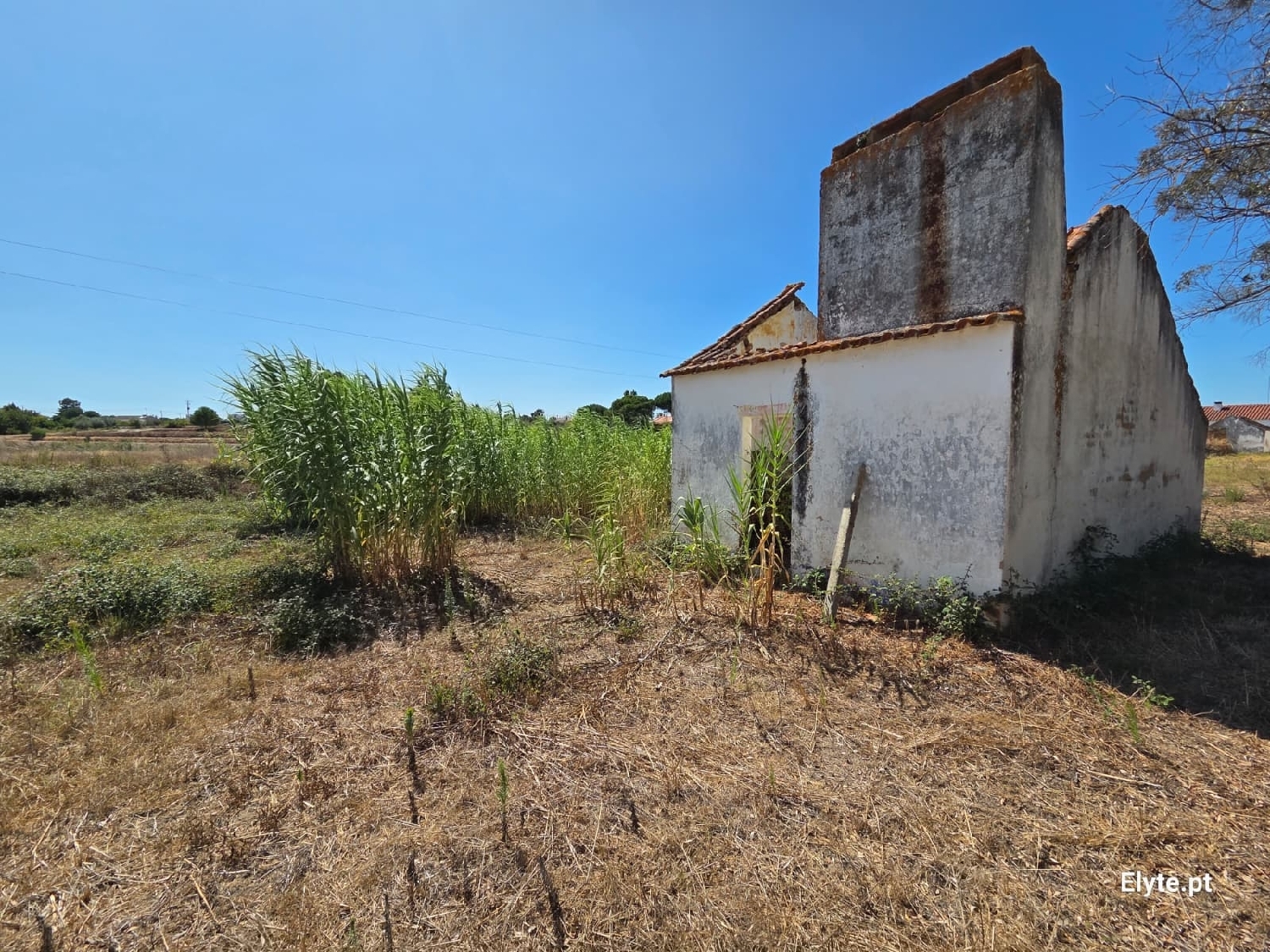  for sale house Branca Coruche 6