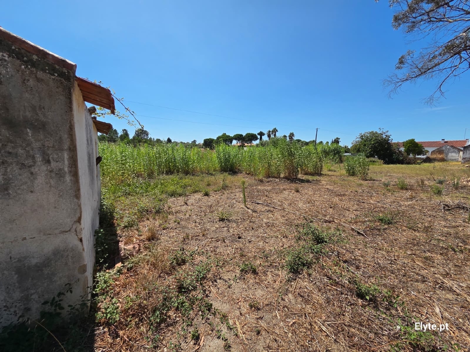  for sale house Branca Coruche 7